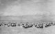 China: Massed caravan of pack animals carrying tea at  Songpan, Northwest Sichuan, in 1922